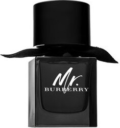 Burberry Mr. Burberry parfémovaná voda pre mužov 50 ml