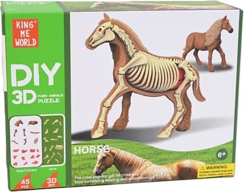 Norimpex anatomische Modelltiere 2002265 22657
