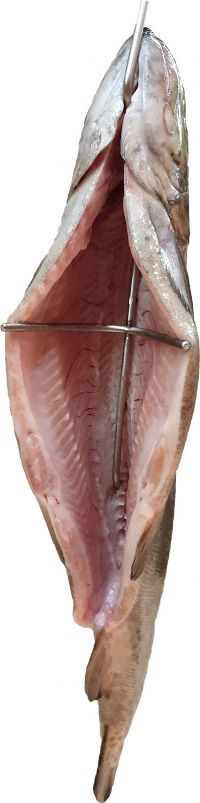 Alcofermbrew Haken zum Räuchern von Fisch 24cm x 5 - Räucherfischhaken, Fleischhaken, Raucherhaken, Metzgerhaken