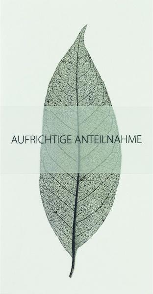 räder Weiße Trauerkarte "Aufrichtige Anteilnahme" 157801