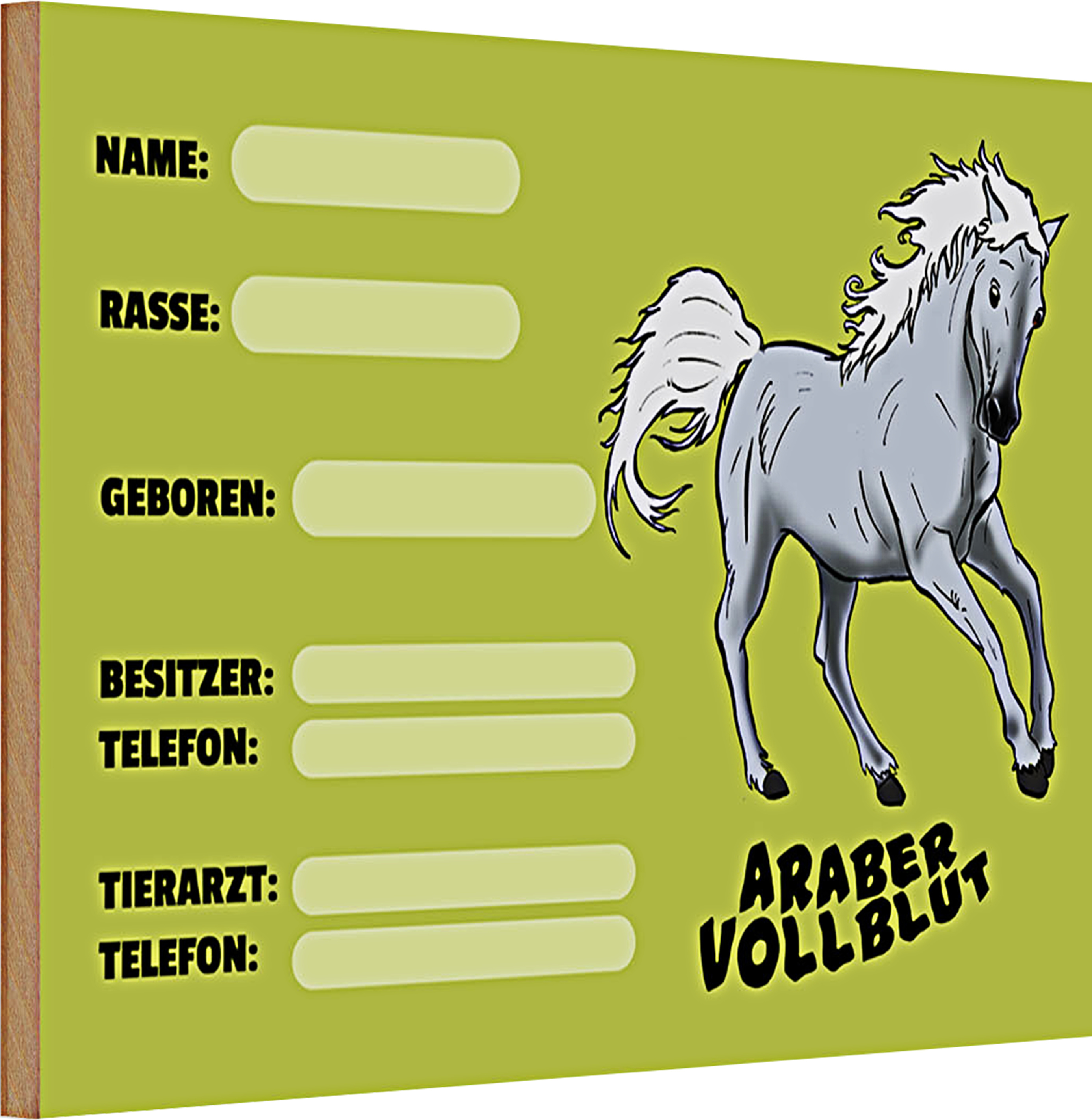 Roomando Holzschild Spruch Steckbrief Araber Vollblut 30x20cm Name Besitzer