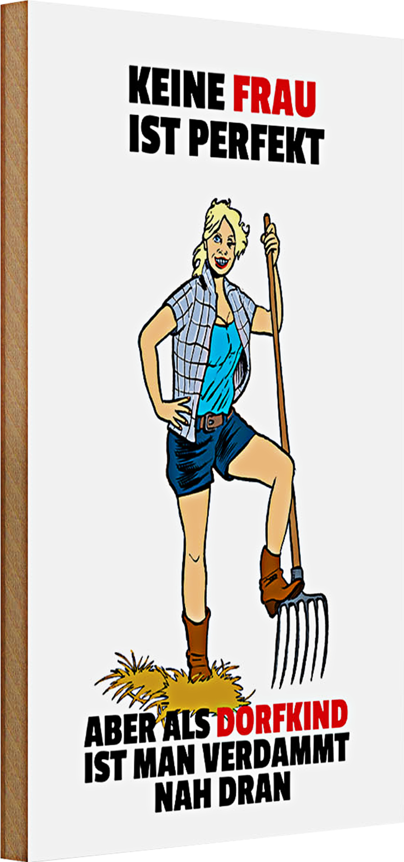 Roomando Holzschild Spruch 20x30cm Keine Frau perfekt aber als Dorfkind Schiild