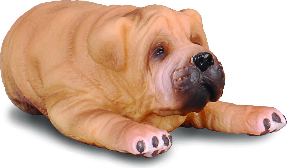 COLLECTA Rüde Shar Pei S 88194 Welpe 5cm Collecta 88194