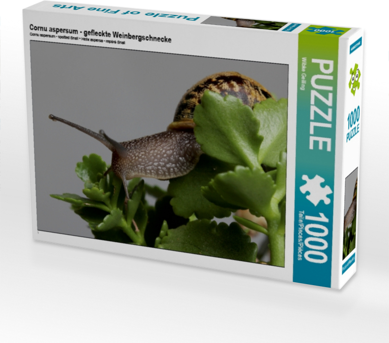 Calvendo Cornu aspersum - gefleckte Weinbergschnecke 1000 Teile Puzzle quer 640x480mm, Geiling Wibke; 7350307