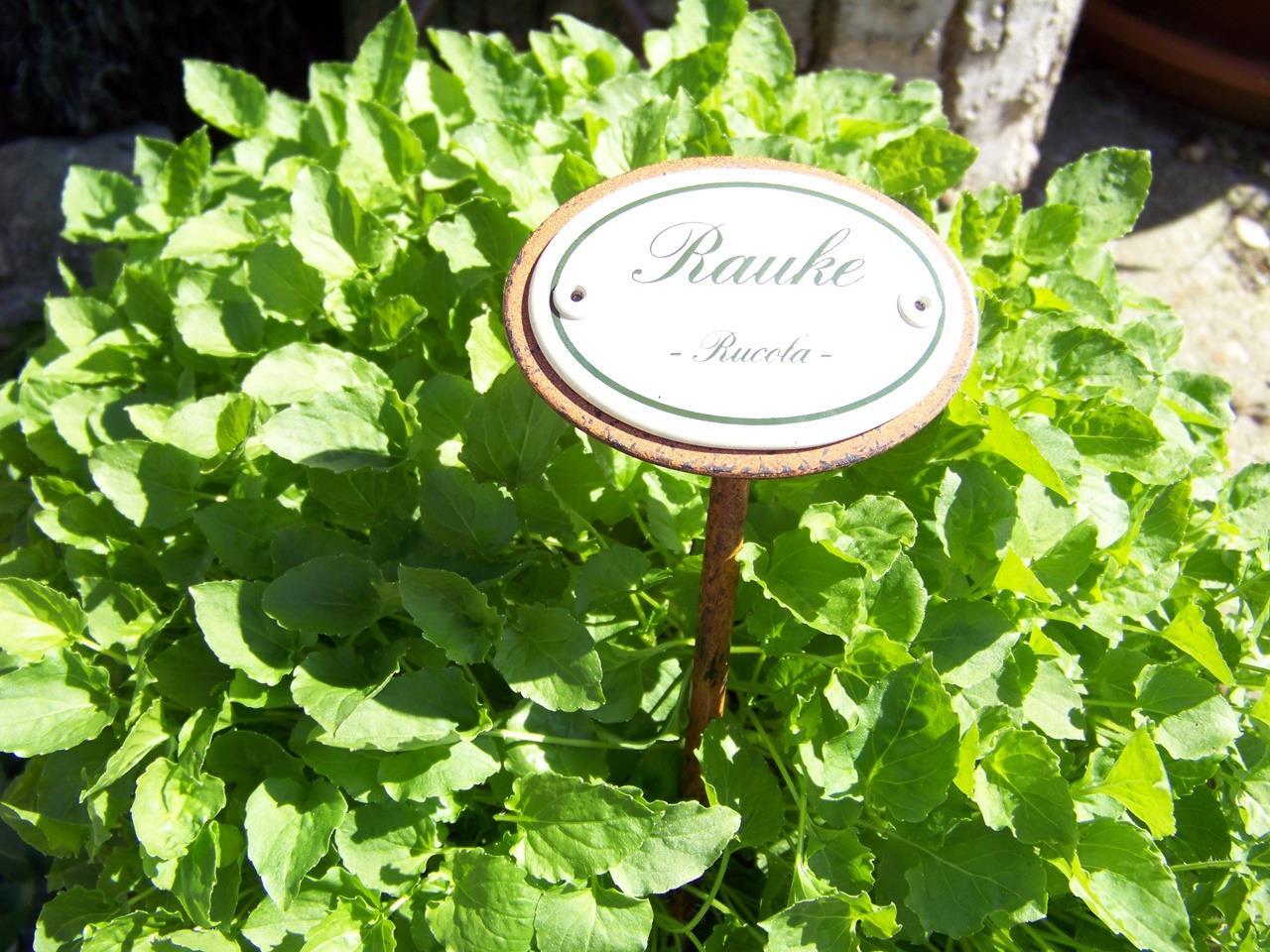 Münder Email Kräuternamenschild Rauke
