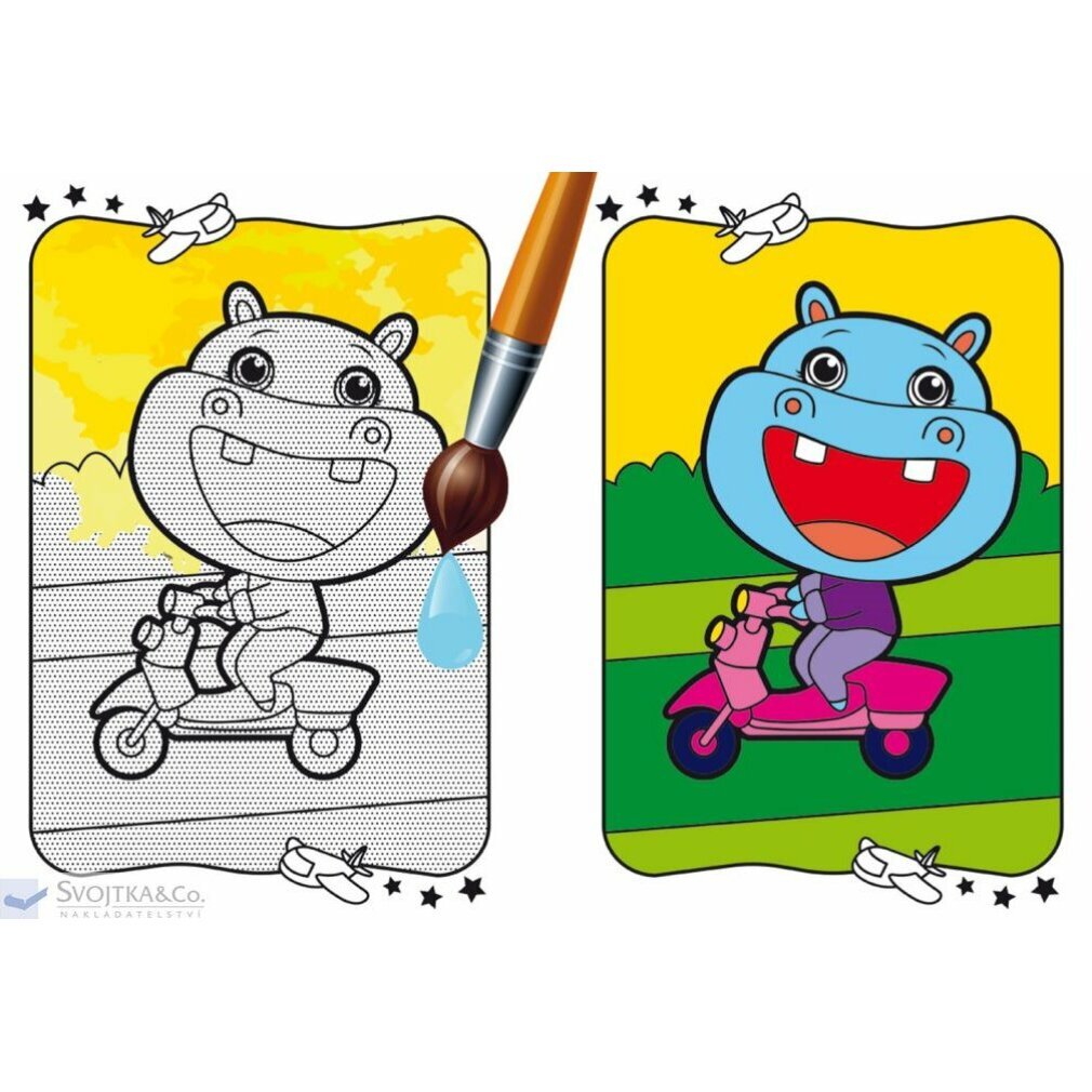 Svojtka & Co. Wassermalerei - Reisen