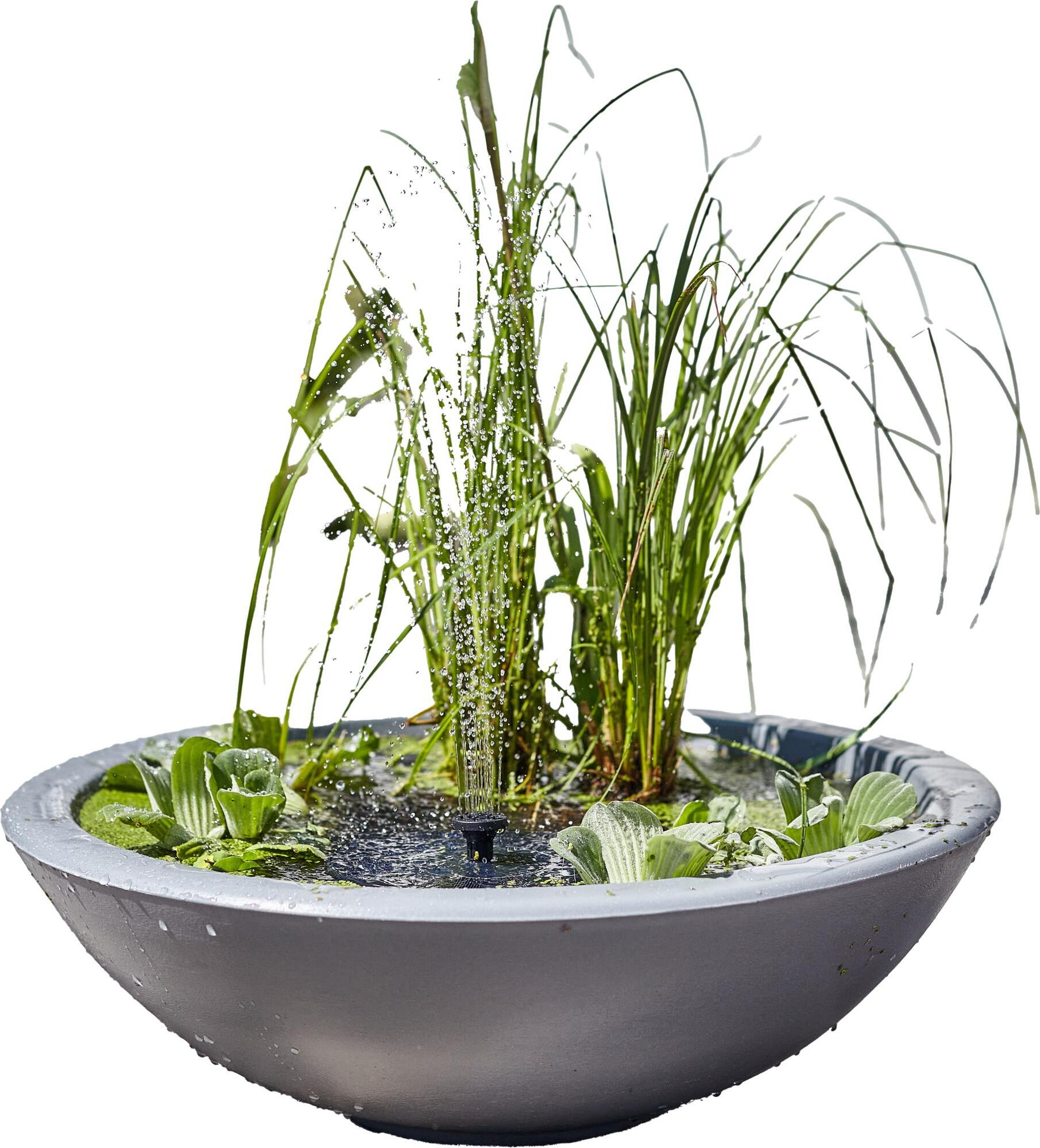 Heissner Solar Wassergarten LOTUSGARDEN inkl. Wasserspielpumpe und Beleuchtung - Miniteich, Dekoteich, Balkonteich