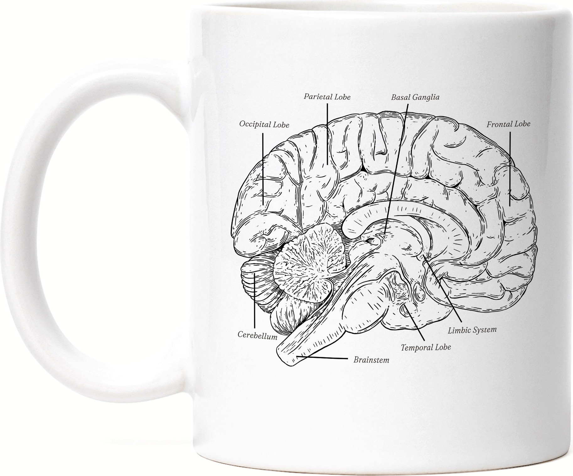 Hey!Print Gehirn Tasse Weiß Nervensystem Rechte Linke Gehirnhälfte Gedächtnis Hirn Nerven Gehirnzellen Logik Medizin Studium HP-1885-T
