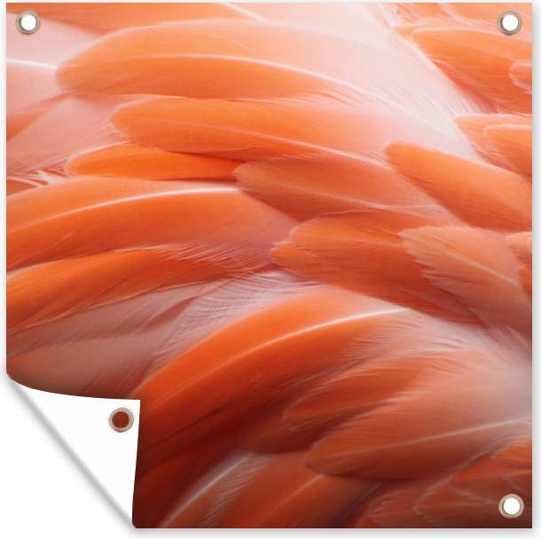 MuchoWow® 50x50 cm Outdoor-Poster Gartendeko Sichtschutz Garten Poster für den Garten Gefiederstruktur eines Flamingos 133|341441080