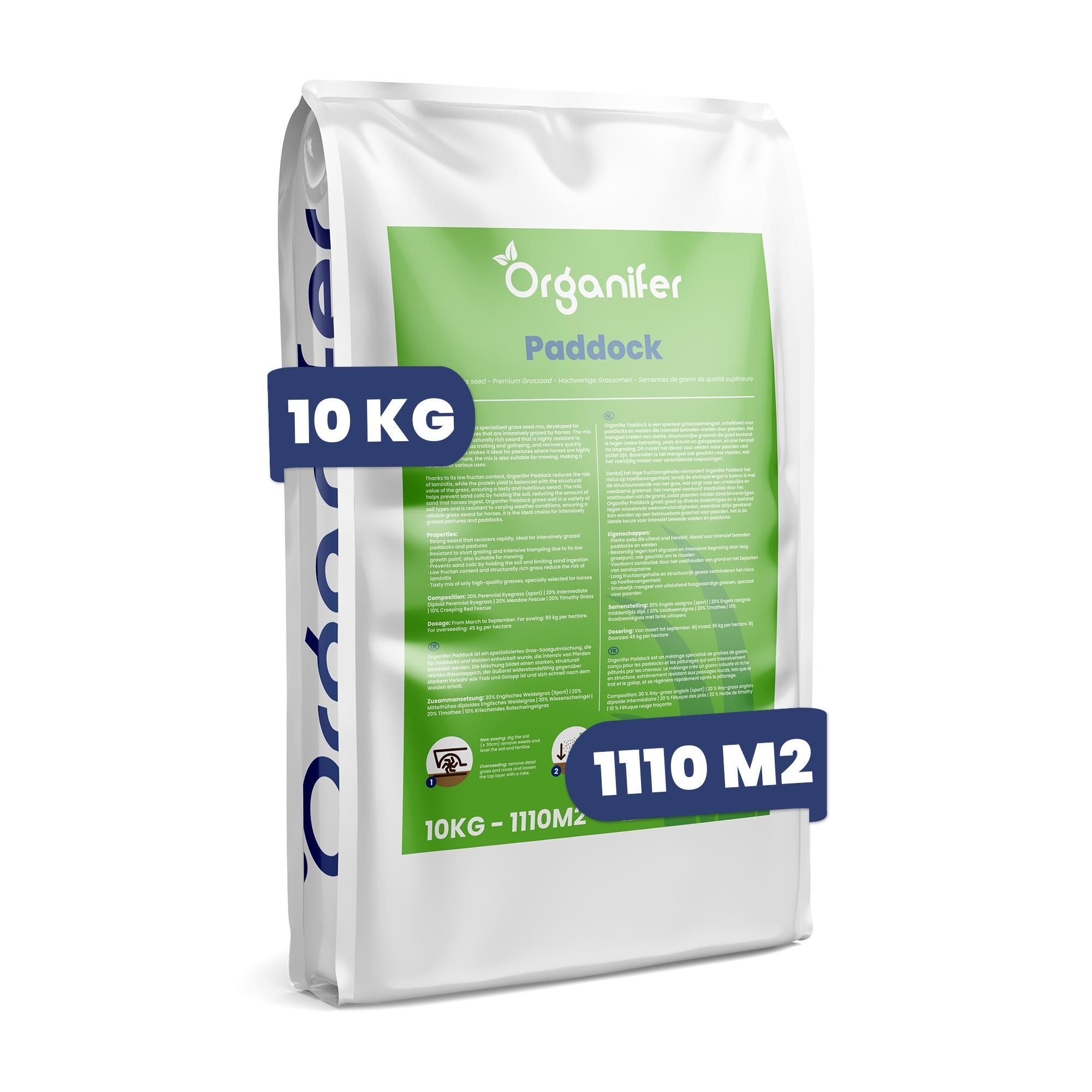 Weidegras Paddock Pferde - 10 kg (1110 M²) – Paddock Saatgut Für Pferdeweide & Koppeln, Strapazierfähiges Weidelgras, Dichter Rasen – Organifer 370960