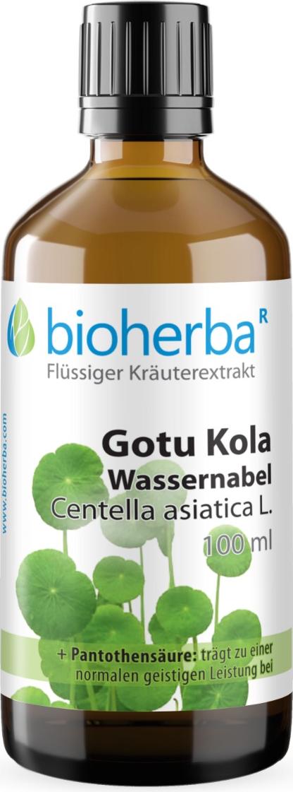 Bioherba Reichenbach GmbH Gotu Kola Wassernabel Centella asiatica L. Tropfen Tinktur 100 ml BH9156