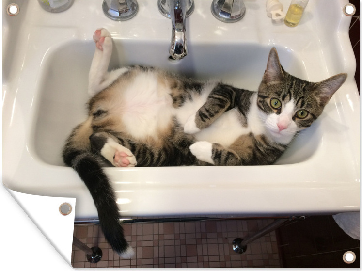 MuchoWow® 40x30 cm Outdoor-Poster Gartendeko Sichtschutz Garten Poster für den Garten Katze - Waschbecken - Badezimmer 133|38380673