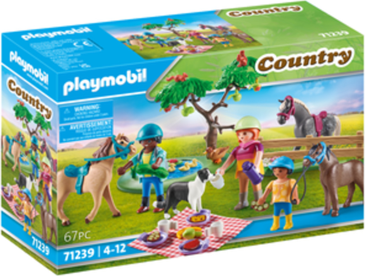 PLAYMOBIL Country 71239 Picknickausflug mit Pferden 54771239