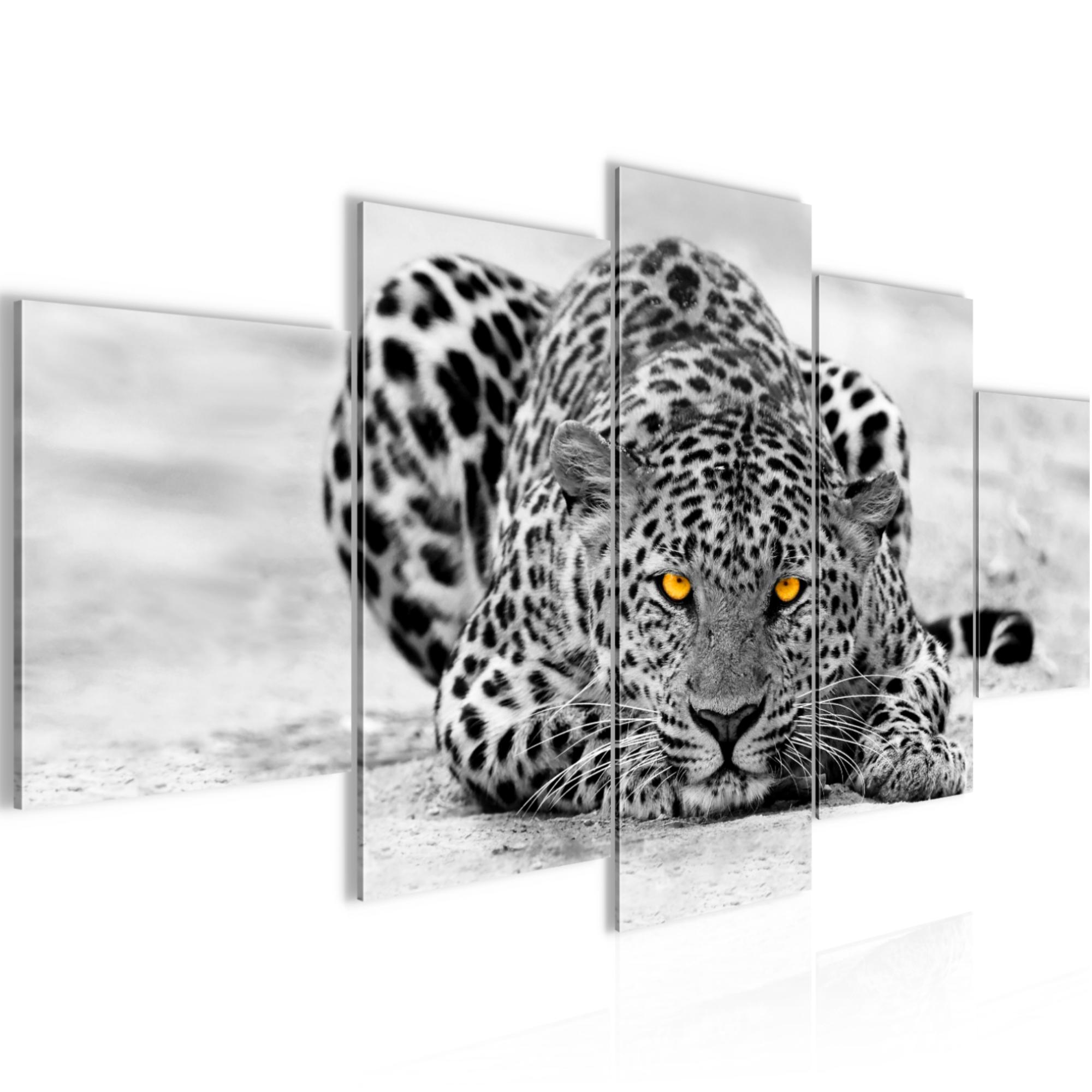 artissimo Glasbild 30x30cm Bild aus Glas Wandbild Wohnzimmer Löwe Tiger Leopard