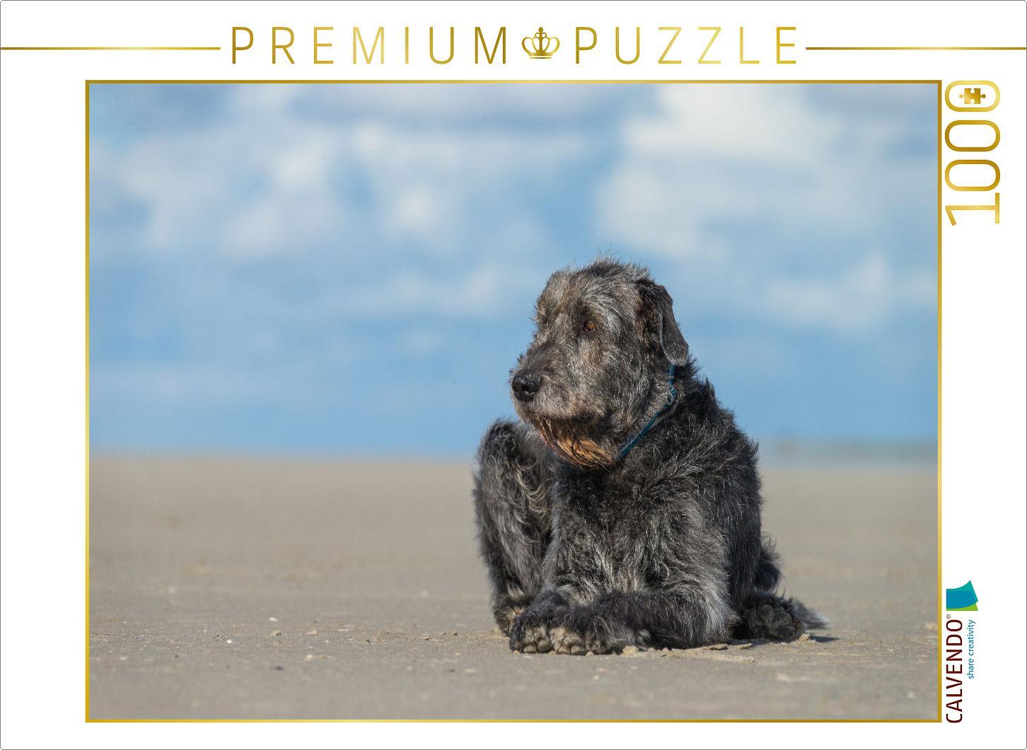 CALVENDO Puzzle Irischer Wolfshund liegt entspannt in der Sonne am Strand | 1000 Teile Lege-Größe 64x48cm Foto-Puzzle für glückliche Stunden