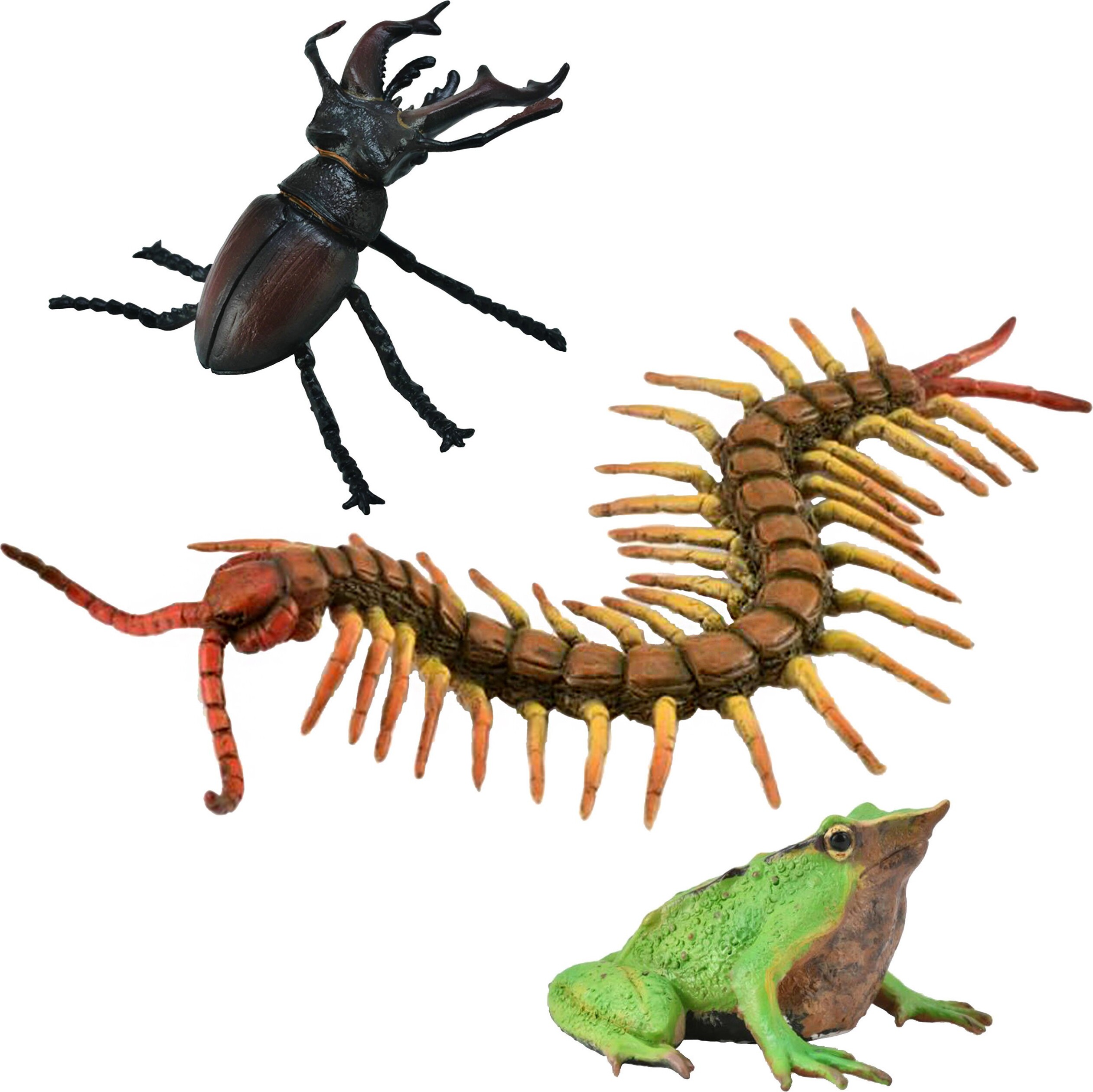 sarcia.eu Collecta Figurenset Insekten, Tierfiguren 3+