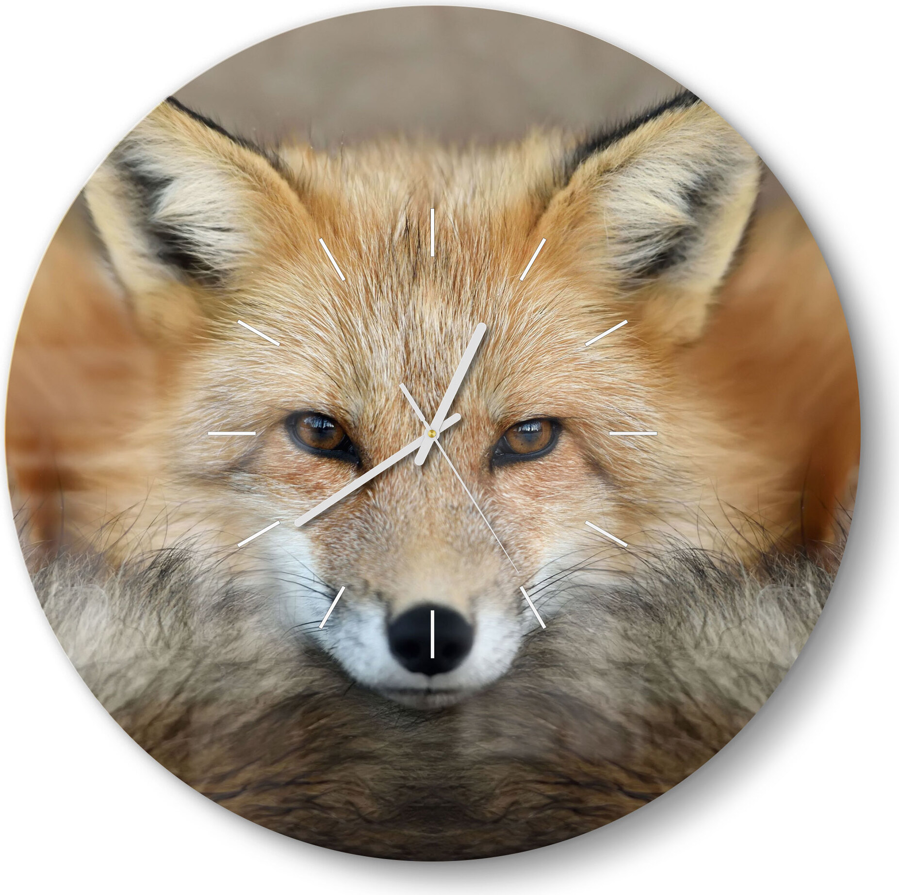 DEQORI Glasuhr Ø50 cm Modern 'Reineke, der Fuchs' Wanduhr Glas Uhr Design leise WC-D50-M-1955