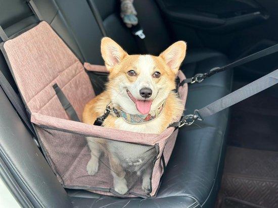 OEM Komfortsitz für Hunde/Katzen, robust und unterstützend, ideal für Autofahrten 2026
