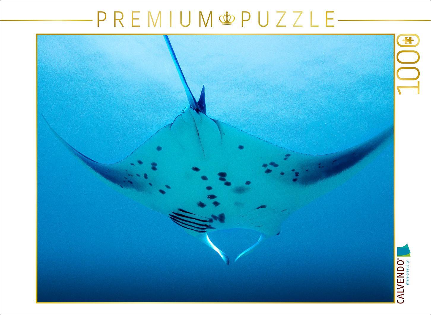 CALVENDO Puzzle Mantarochen im Anflug | 1000 Teile Lege-Größe 64x48cm Foto-Puzzle für glückliche Stunden