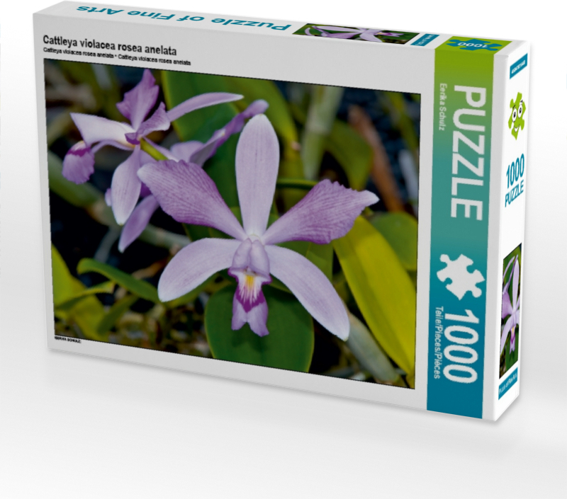 Calvendo Cattleya violacea rosea anelata 1000 Teile Puzzle quer 640x480mm, Schulz Eerika; 7380670