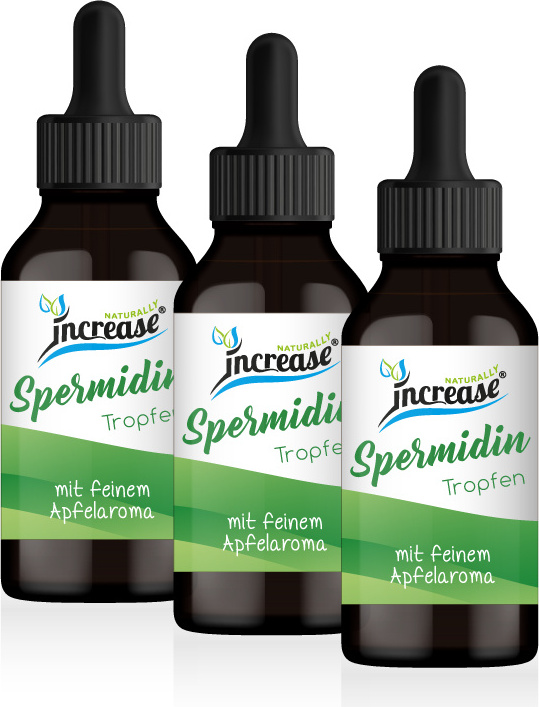 Increase Nimm 3, zahl 2 Aktion Liposomale Spermidin Tropfen hochdosiert - 6mg Spermidin pro Tag (18.000mg Spermidin in 3 Flaschen) - Keto MCT Öl - Apfel