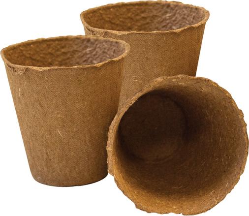 Besttoy Aromatische Kräuter - Experimentierkasten 80005074