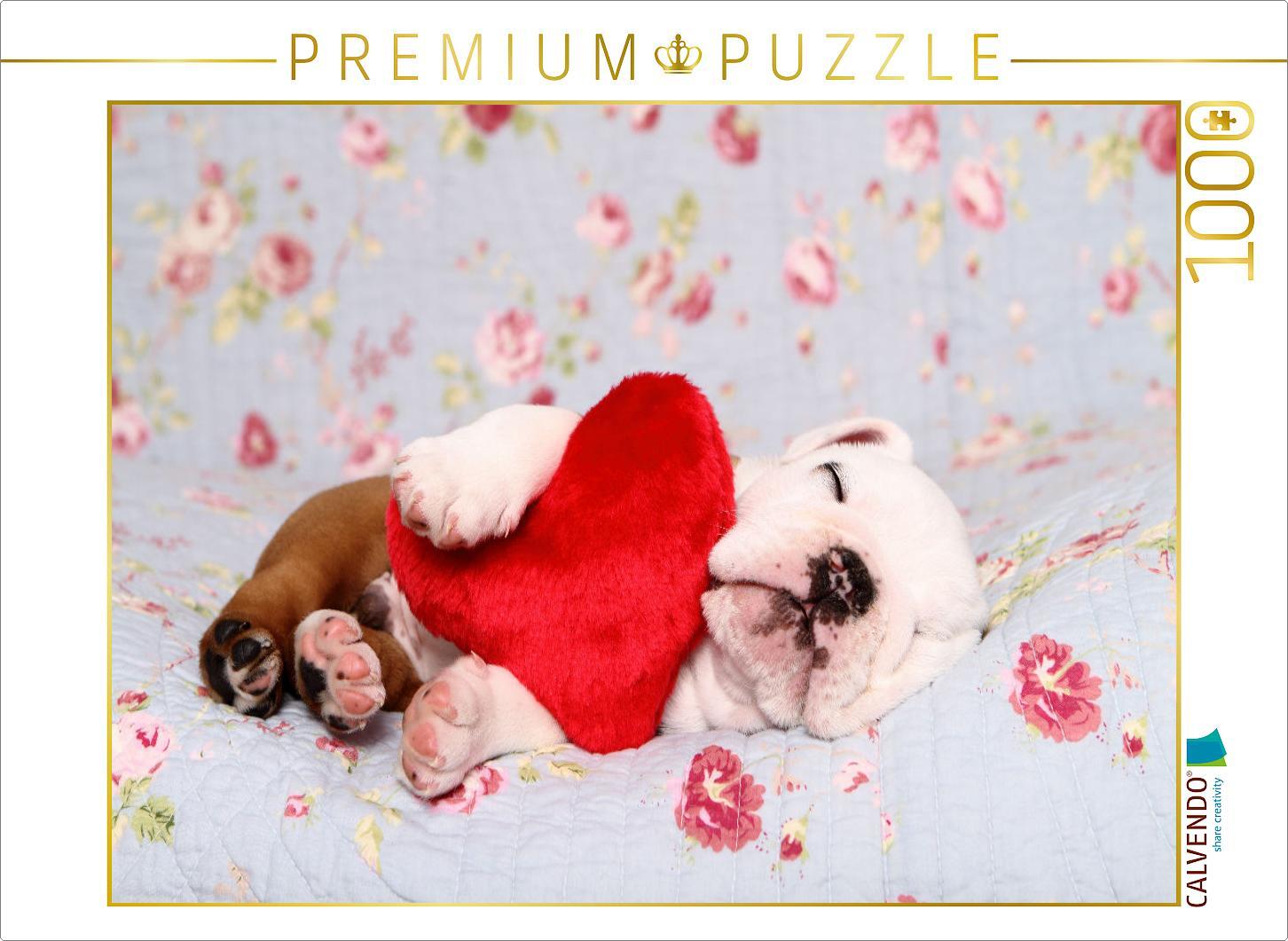 CALVENDO Puzzle Englische Bulldogge Welpe / English Bulldog Puppy | 1000 Teile Lege-Größe 64x48cm Foto-Puzzle für glückliche Stunden