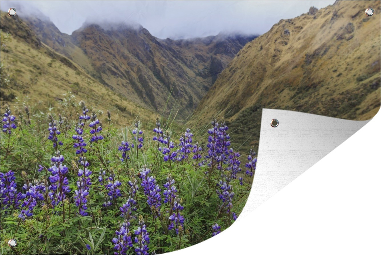 MuchoWow® 120x80 cm Outdoor-Poster Gartendeko Sichtschutz Garten Poster für den Garten Inka-Bergpfad nach Machu Picchu mit lila Blumen Peru 133|1286990