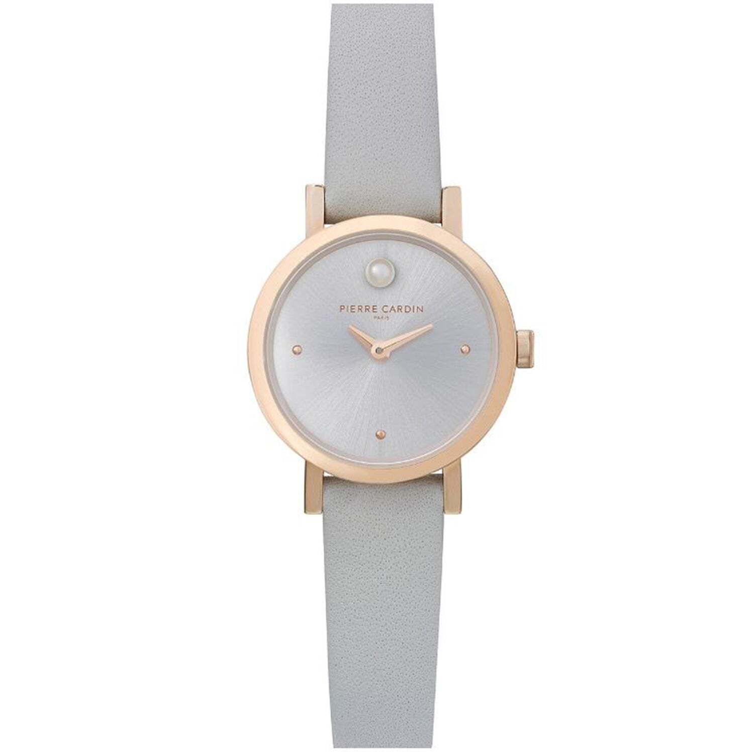 Dámské hodinky Pierre Cardin  CCM.0506