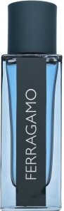 Salvatore Ferragamo Intense Leather parfémovaná voda pre mužov 30 ml