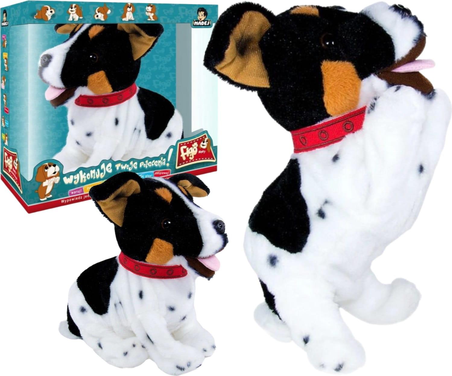 INNY Figo-Hund, der auf Befehle reagiert 062605 06577