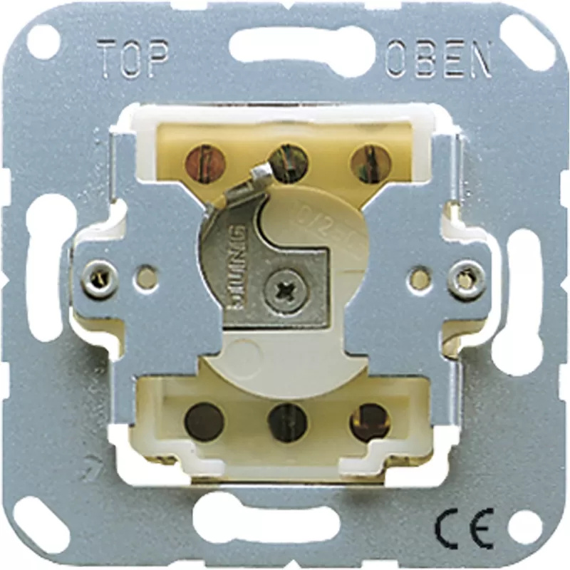 JUNG 134.28 Elektroschalter Key-operated switch 2P Metallisch (134.28)
