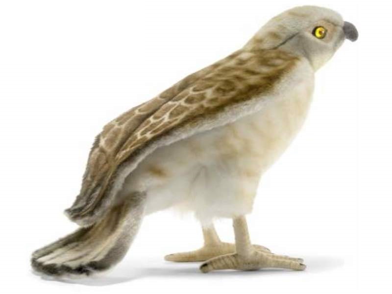 Hansa Toy 5121 Turmfalke 25 cm Kuscheltier Plüschtier
