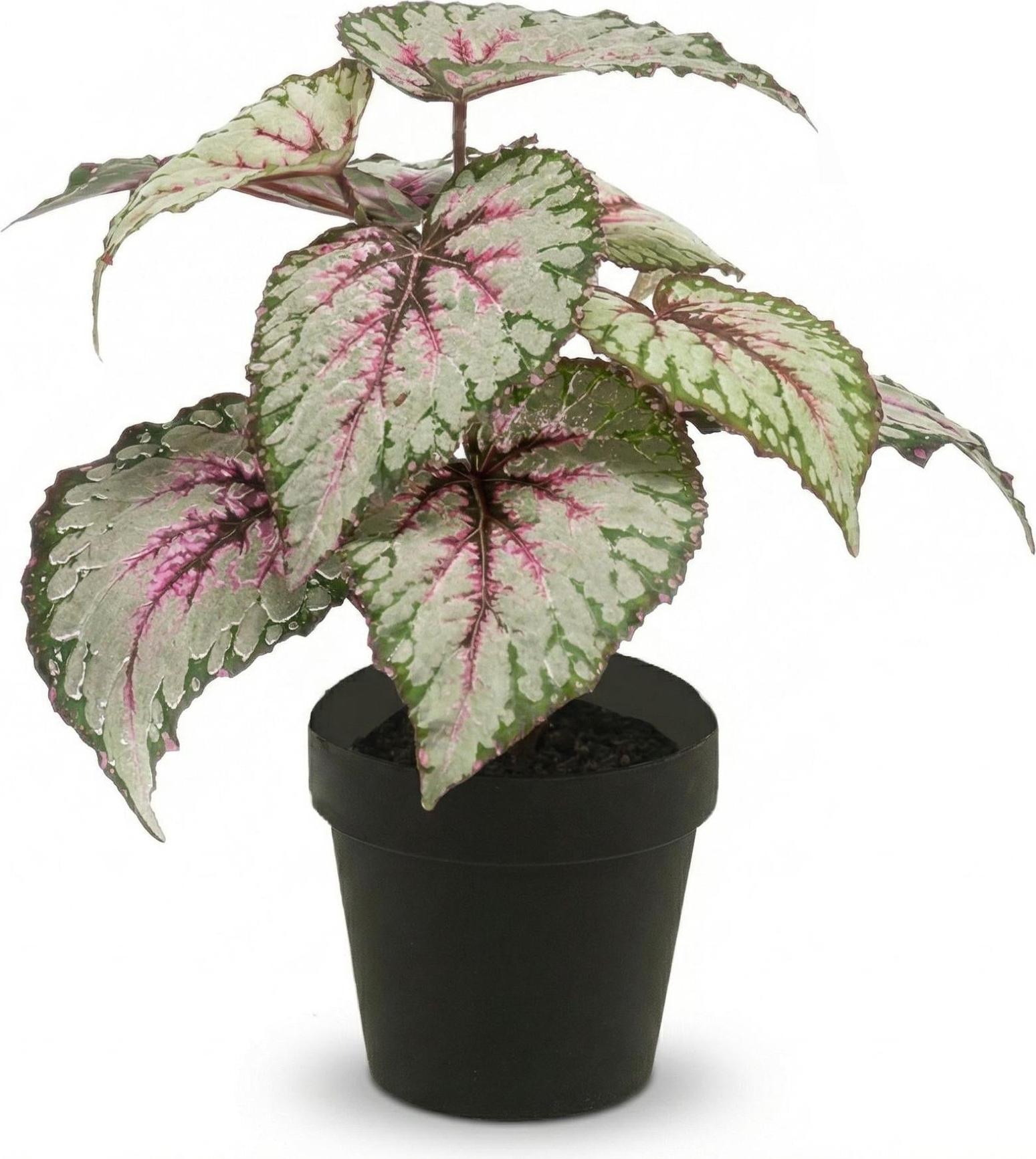 Oasis of Life Begonie Kunstpflanze UV 26cm Blühpflanze Gartenpflanze Balkonpflanze Strauch