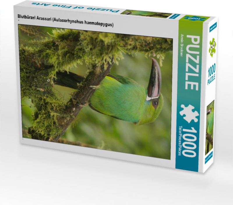 CALVENDO Puzzle Blutbürzel Arassari (Aulacorhynchus haematopygus) | 1000 Teile Lege-Größe 64x48cm Foto-Puzzle für glückliche Stunden