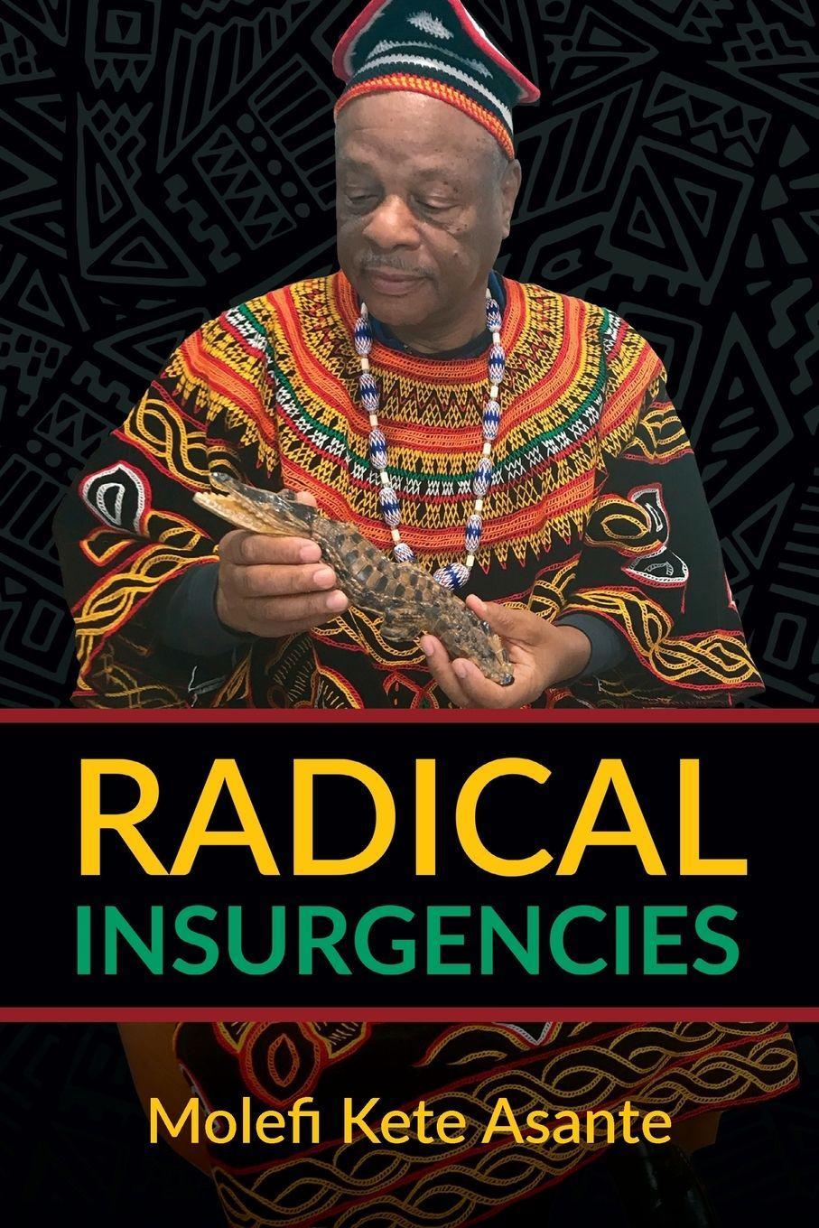 Sonstige Verlage Radical Insurgencies