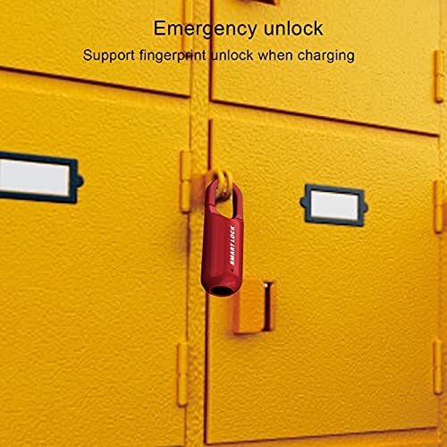 Pyhodi Fingerabdruckschloss aus Zinklegierung, USB-wiederaufladbar, 110 mAh Lithium-Akku, 10 Fingerabdrücke