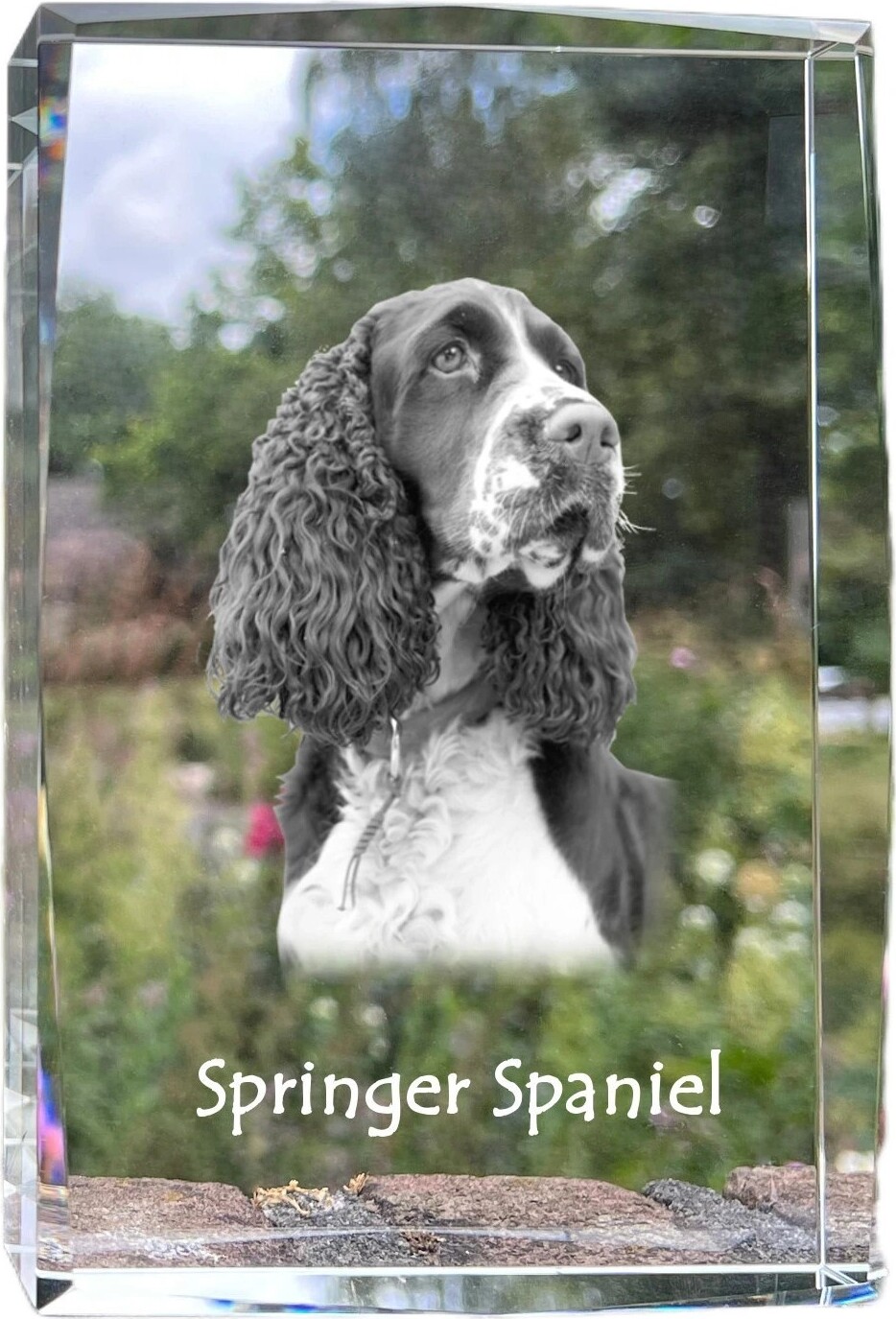 English Springer Spaniel - Kristall mit einem Hundebild, Bild im Glas, moderne Ausstellung des Art-Dog-Bildes.