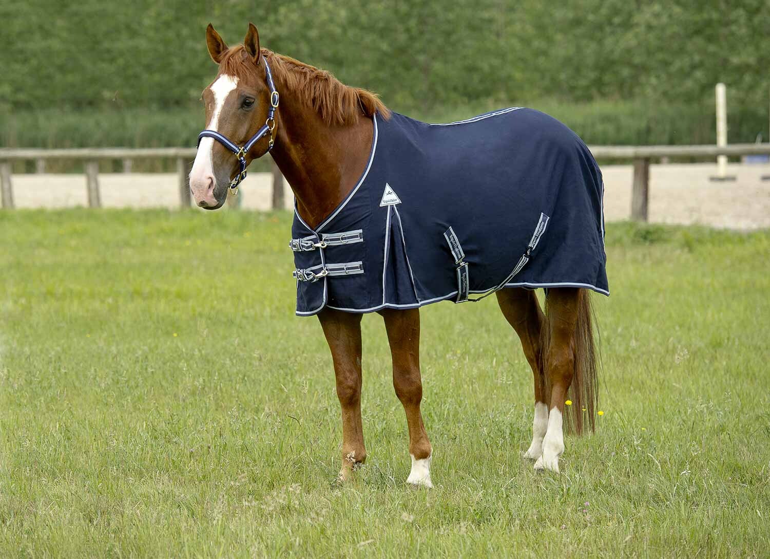 Ekkia EQUI THÈME Baumwolldecke 165 cm