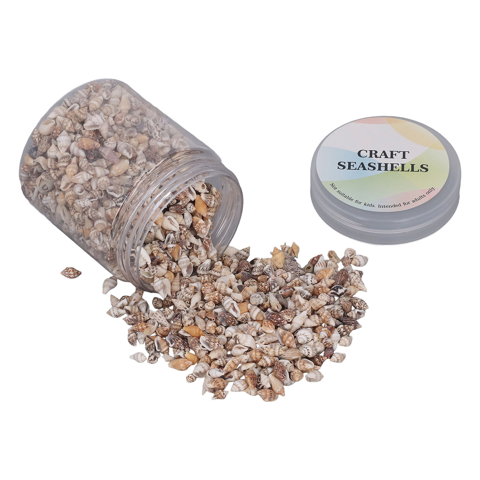 Cocosity Winzige Muscheln,Muschelschalen,Spiralförmige Muscheln,Gemischte Muscheln,Muscheln zum Dekorieren,Muscheln zum Basteln
