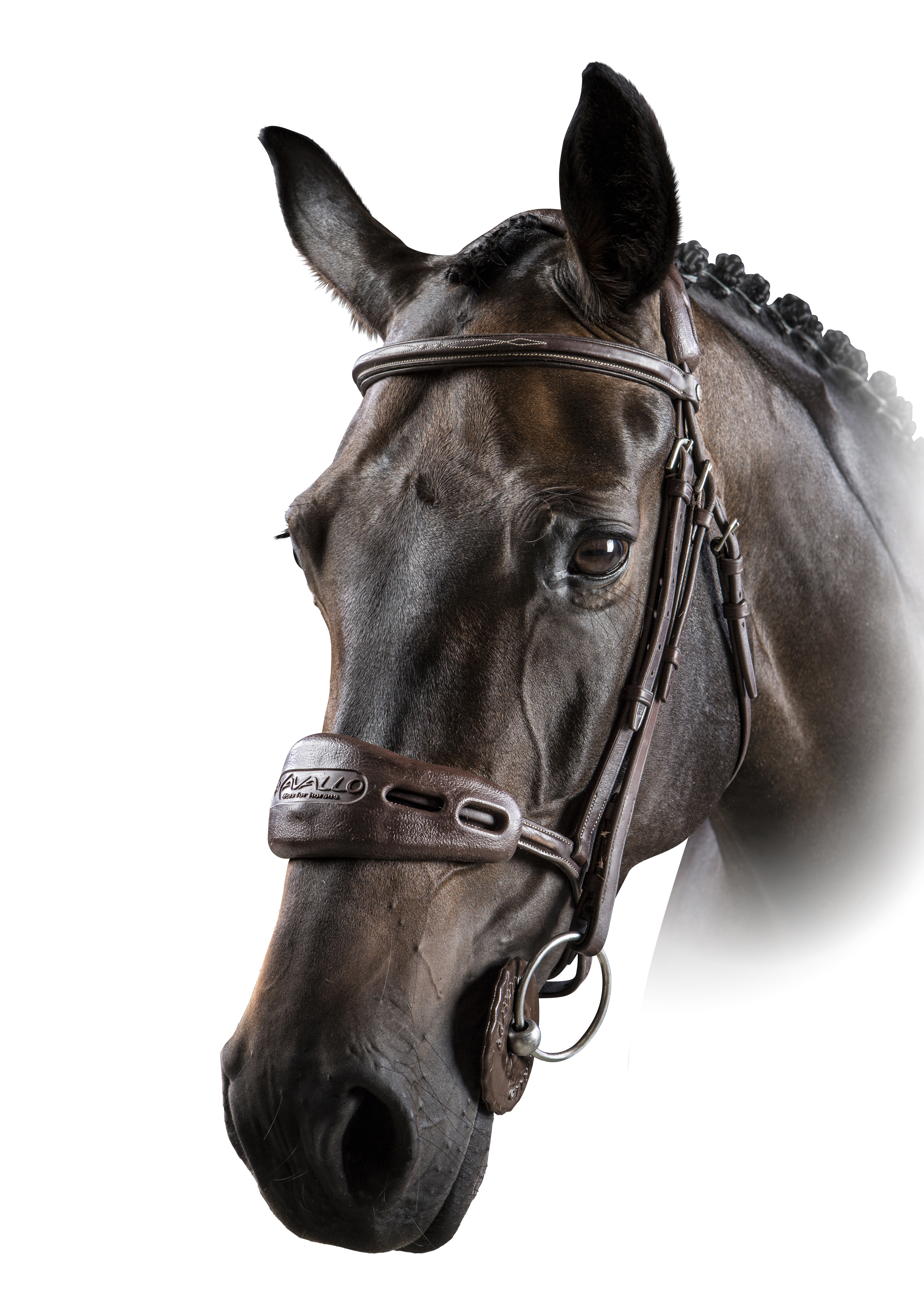 Acavallo Gel- Nasen- und Genickschoner Braun AC755 (Acavallo)