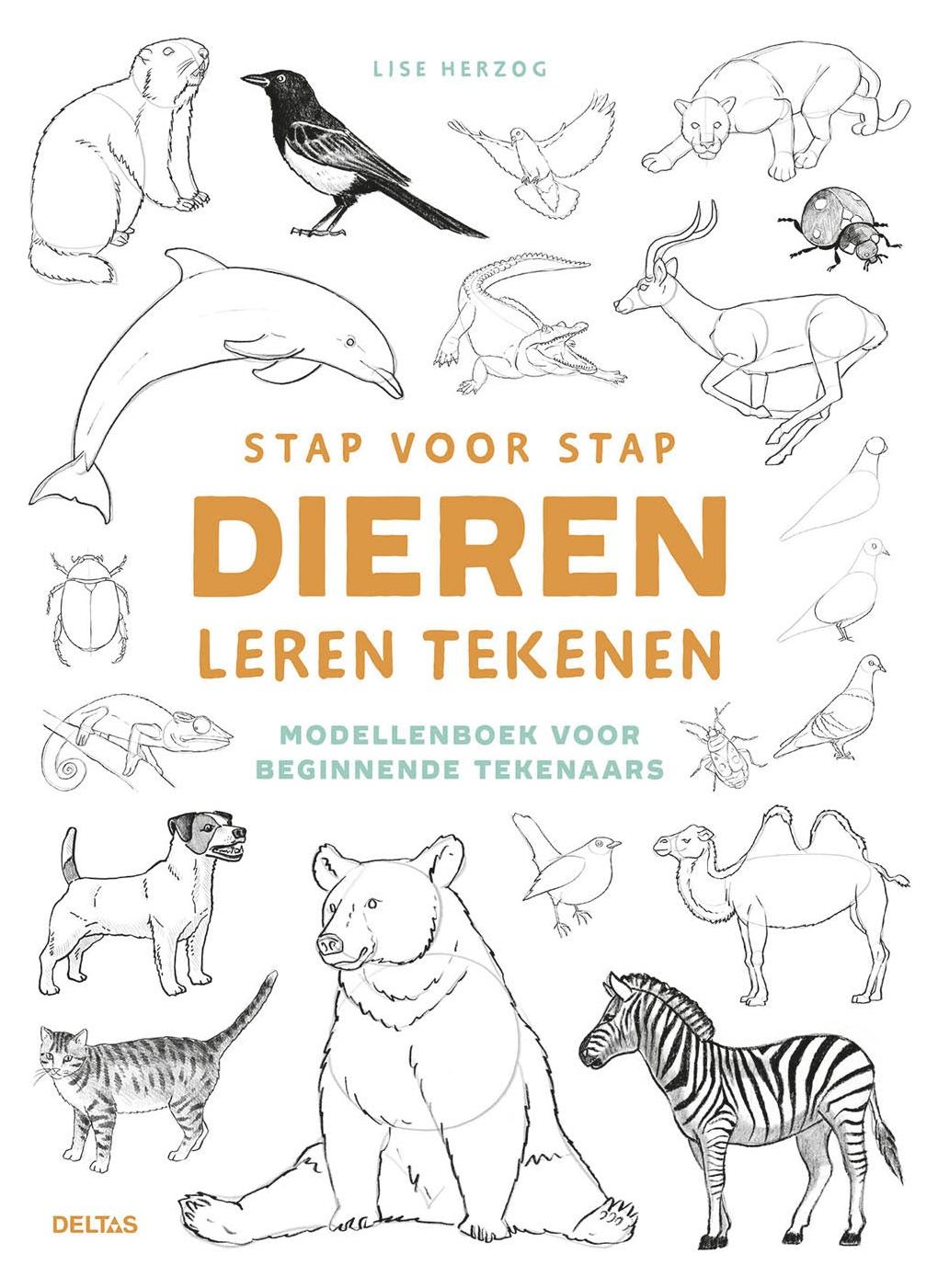 Deltas lernen, Tiere Schritt für Schritt zu zeichnen 0101946