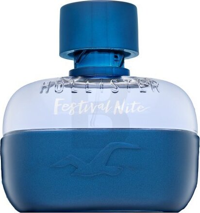 Hollister Festival Nite for Him toaletná voda pre mužov 100 ml