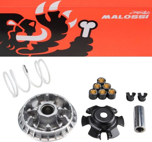 Variator Variomatik MALOSSI Multivar für Sym Citycom GTS Joymax 250 300 453218