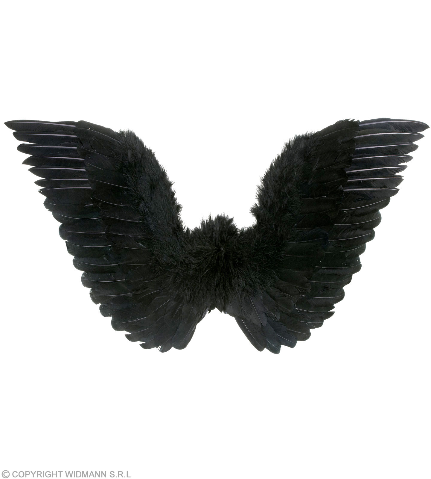 Zwei echte schwarze Engelsflügel mit großen Federn isoliert auf