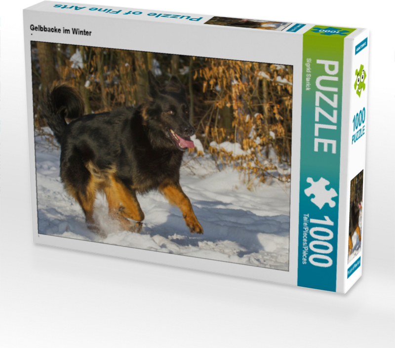 CALVENDO Puzzle Gelbbacke im Winter | 1000 Teile Lege-Größe 64x48cm Foto-Puzzle für glückliche Stunden