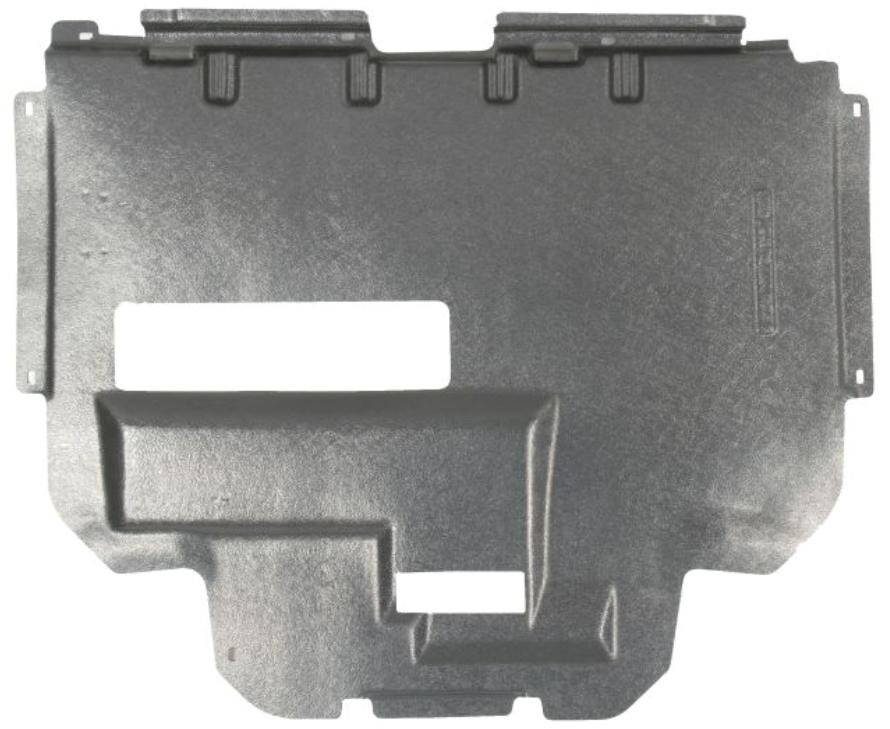 REZAW PLAST 150506 Motorraumdämmung für CITROËN C5 I (DC) Motorraum Unten Motorhaubendämmung