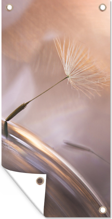 MuchoWow® 80x160 cm Outdoor-Poster Gartendeko Sichtschutz Garten Poster für den Garten Löwenzahnsamen - Abstrakt - Himmel 133|324237722