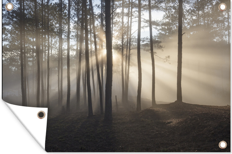 MuchoWow® 60x40 cm Outdoor-Poster Gartendeko Sichtschutz Garten Poster für den Garten Kiefernwald im Nebel 133|17309445