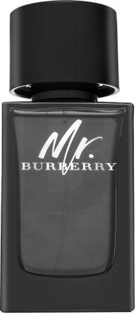Burberry Mr. Burberry parfémovaná voda pre mužov 100 ml